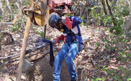 Adapec monitora abrigos de morcegos hematófagos em municípios da região sul do Tocantins