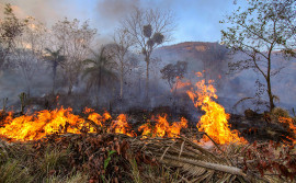 Força-tarefa mantém combate a incêndio florestal na Serra do Lajeado