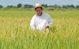 Seagro alerta produtores rurais sobre o prazo para aderir à renegociação de dívidas com a União até o dia 30 deste mês