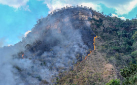 Força-tarefa volta a intensificar o combate aos incêndios florestais na Serra do Lajeado