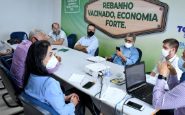 Grupo gestor reúne-se para avaliar e traçar metas no plano estratégico de retirada da vacinação contra a febre aftosa