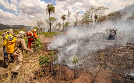 Equipes da Força-Tarefa avançam e combatem linhas de fogo nas chácaras da região de Taquaruçu Grande