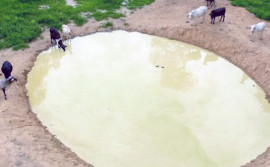 Governo do Tocantins trabalha a implantação de barraginhas na região do Bico do Papagaio