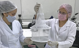 Pesquisadores apoiados pelo Governo do Tocantins desenvolvem projeto para auxiliar no combate ao calazar