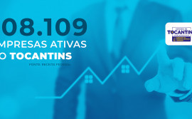 Tocantins ocupa a 3ª posição na região Norte em número de empresas ativas