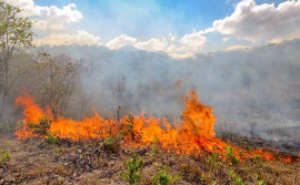 Força-tarefa extingue focos de incêndio florestal em Taquaruçu 
