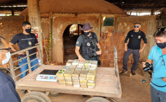 No extremo norte do estado, Polícia Civil incinera mais de 80kg de pasta base de cocaína avaliada em R$ 10 milhões de reais    