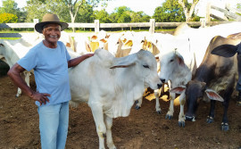 Governo do Tocantins auxilia produtores de Monte do Carmo na contratação de mais de R$ 1 milhão para investimentos rurais