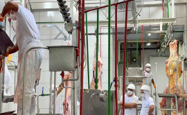 Com apoio do Governo do Tocantins, duas indústrias de produtos de origem animal retomam as atividades no Estado