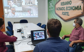 Tocantins discute calendário de retirada da vacinação contra febre aftosa