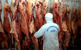 Adapec é escolhida para participar do projeto-piloto do Ministério da Agricultura sobre segurança alimentar