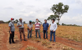 Tocantins avança em adoção e difusão das tecnologias sustentáveis do Plano ABC