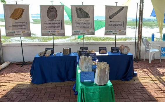 Exposição de fósseis vegetais do Monumento Natural de Árvores Fossilizadas do Tocantins marca programação do 73º aniversário de Filadélfia
