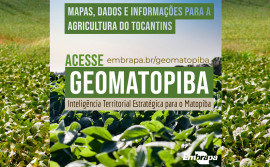 Agricultura e Embrapa capacitam extensionistas para uso da plataforma digital Geomatopiba