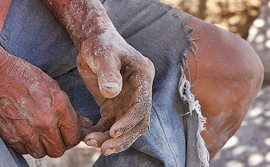 Seciju cria grupo para reformular o Plano Estadual de Erradicação do Trabalho Escravo no Tocantins