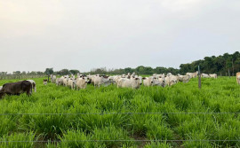 Secretaria da Agricultura visita municípios para planejar ações da safra 2021/2022