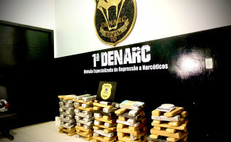 Em Palmas, 1ª DENARC deflagra a operação Subversio e apreende 110kg de drogas 