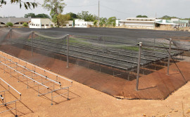 Meio Ambiente implanta viveiro de mudas nativas do Cerrado em Gurupi para recuperação de áreas degradadas