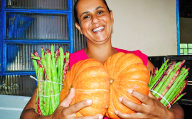 Governo do Tocantins libera linha para Agricultura Familiar e Crédito Popular