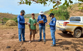 Adapec monitora abrigos de morcegos hematófagos e orienta produtores rurais na região sudeste do Tocantins