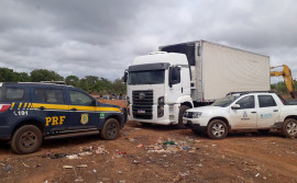 Adapec apreende mais de 2 toneladas de queijos clandestinos em Gurupi