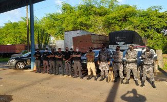 Operação Hórus: Polícia Civil realiza apreensão e prisões em Guaraí