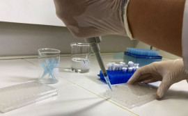 Governo do Tocantins investe R$ 1 milhão em projetos de desenvolvimento e inovação nas regiões centro, norte e sul do Estado