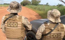 Companhia de Operações de Divisas completa dois anos de existência