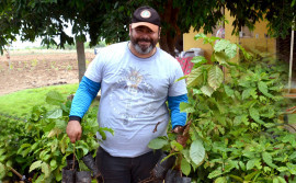 Ruraltins e parceiros implantam primeira unidade experimental de café Robusta da Amazônia no Estado