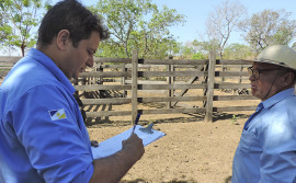 Ruraltins retoma Mutirão do Agrocrédito com atendimento em Peixe e Santa Rita