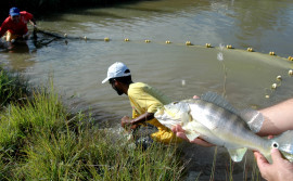 Secretaria da Agricultura participa da programação da 5ª Semana de Piscicultura
