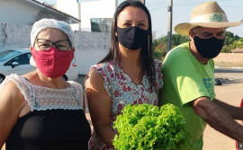 Governo do Tocantins beneficia produtores e entidades socioassistenciais com aquisição de alimentos da agricultura familiar em Pindorama