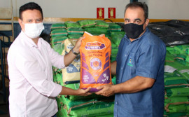 Mais de 67% das prefeituras solicitam aquisições de sementes do programa Mesa Farta 