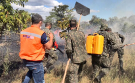 Governo do Tocantins e Comitê Estadual do Fogo divulgam resultados das ações de combate aos incêndios florestais