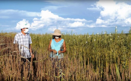 Governo do Tocantins e parceiros realizam ação conjunta para valorizar os direitos das mulheres rurais no Estado