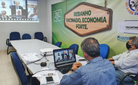 Adapec recebe resultado preliminar da auditoria para retirada da vacinação contra febre aftosa