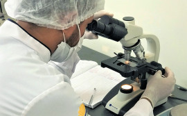 Governo do Tocantins libera R$ 1,2 milhão de Bolsa Produtividade para pesquisadores do Estado