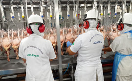 Frigorífico de aves inspecionado pela Adapec recebe aprovação do Programa Nacional de Controle de Resíduos e Contaminantes