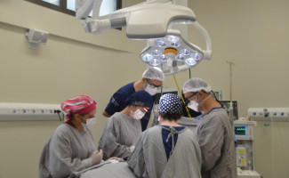 Mutirão de cirurgias pediátricas no HGP beneficia crianças