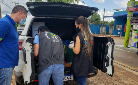 Procon Tocantins promove treinamento para fiscais em cooperação técnica e operacional com a Agência Nacional do Petróleo