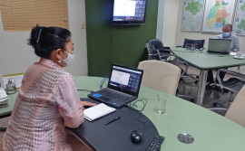 Governo do Tocantins debate potencial da piscicultura em reunião de Câmara Setorial