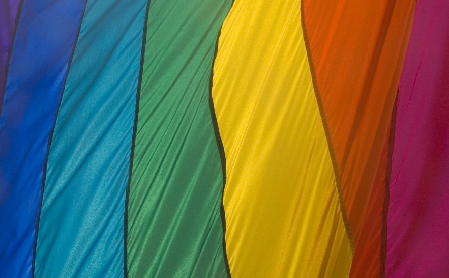 Dia do Orgulho Gay