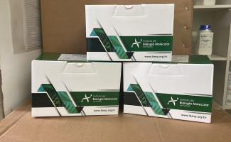 Saúde segue com distribuição de testes rápidos para detecção da Covid-19 aos municípios tocantinenses
