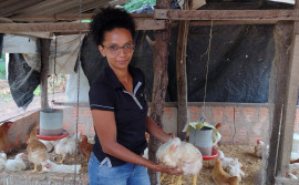 Ruraltins realiza Dia de Campo para incentivar criação de frango caipira e destaca experiência de sucesso na região sudeste 