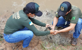 Operação Piracema intensifica fiscalização e apreende mais de 9 mil metros de rede de pesca no Tocantins