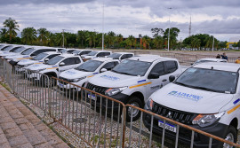 Governo do Tocantins entrega 30 novos veículos para reforçar o sistema de defesa agropecuária do Estado