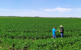 Adapec encerra o ano com investimentos na reestruturação e avanços na liberação de agroindústrias