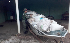 Polícia Militar Ambiental e Naturatins apreendem cerca de 150 kg de pescados na Operação Piracema, no norte do Estado