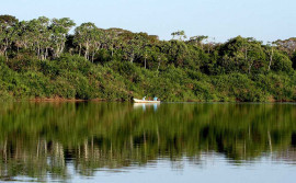 Governo do Tocantins altera Lei do ICMS-Ecológico para permitir distribuição mais justa dos recursos