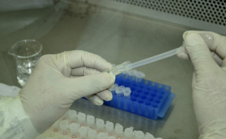 Nota Pública de Esclarecimento